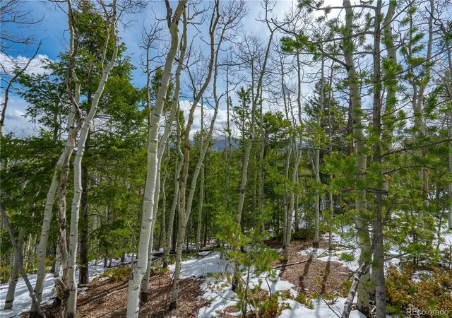 Homes for sale in Cripple Creek, CO | 224 Deadwood Rd, Cripple Creek, CO 80813 | MLS# 4606817