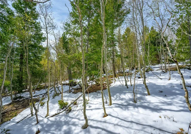 Homes for sale in Cripple Creek, CO | 192 Deadwood Rd, Cripple Creek, CO 80813 | MLS# 5868251