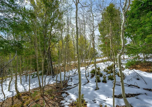 Homes for sale in Cripple Creek, CO | 192 Deadwood Rd, Cripple Creek, CO 80813 | MLS# 5868251