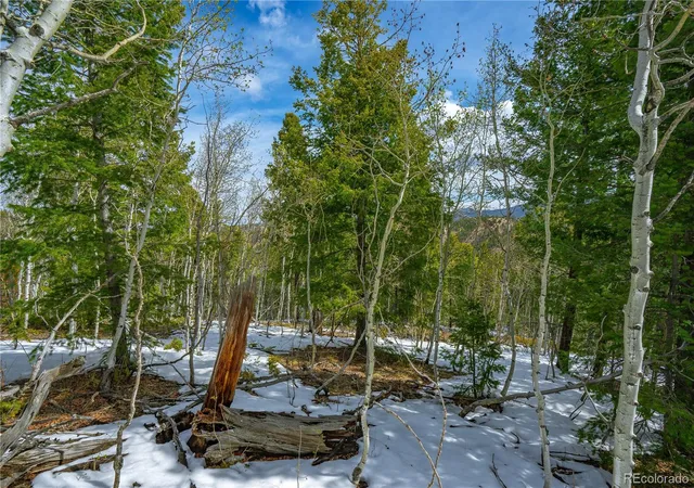 Homes for sale in Cripple Creek, CO | 192 Deadwood Rd, Cripple Creek, CO 80813 | MLS# 5868251