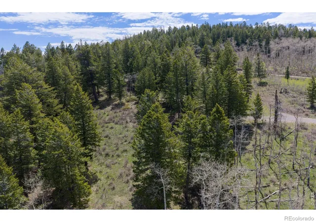 Photo 4 of Land for sale at 107 Cavesson Ct, Edwards, CO 81632 | MLS# IR1058284 | Listing updated on 2026-09-18