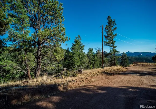 Homes for sale in Florissant, CO | 74 Quandry Cir, Florissant, CO 80816 | MLS# 8543279