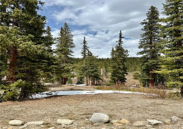 5th image of 897 Gold Pan Ln, Fairplay, CO 80440 | MLS# 4535528