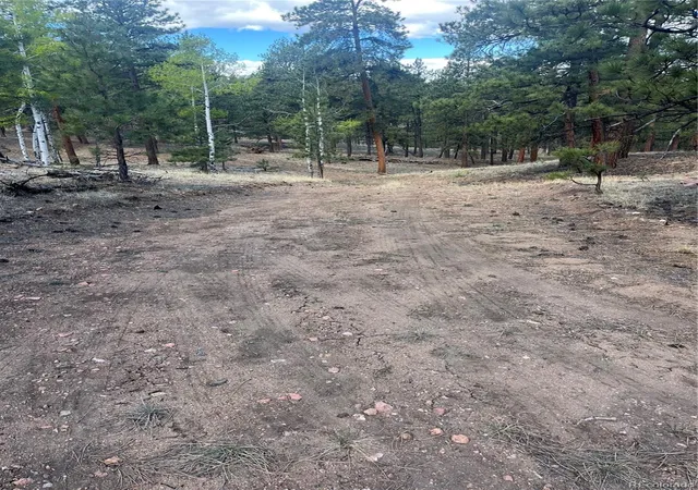 2nd image of 185 Sioux Trl, Westcliffe, CO 81252 | MLS# 9401188
