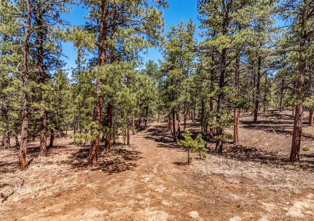 3rd image of 185 Sioux Trl, Westcliffe, CO 81252 | MLS# 9401188