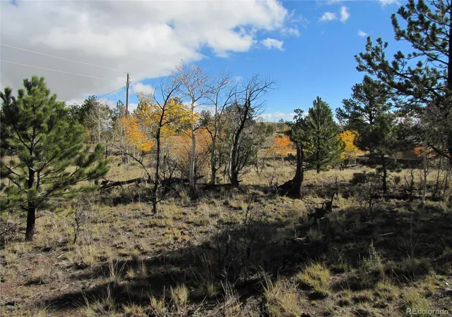 Photo 20 of Land for sale at 206 Bandolier Ct, Hartsel, CO 80449 | MLS# 6499818 | Listing updated on 2026-05-07