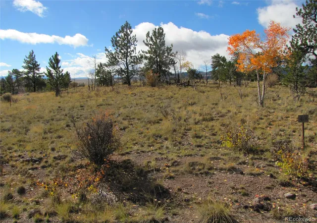 Photo 2 of Land for sale at 206 Bandolier Ct, Hartsel, CO 80449 | MLS# 6499818 | Listing updated on 2026-05-07