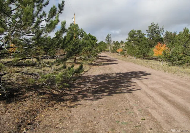 Photo 4 of Land for sale at 206 Bandolier Ct, Hartsel, CO 80449 | MLS# 6499818 | Listing updated on 2026-05-07