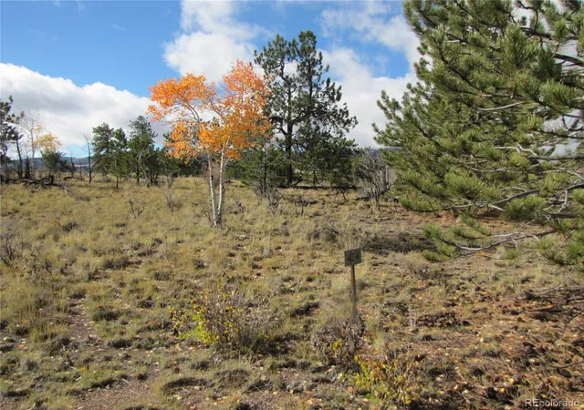 Photo 5 of Land for sale at 206 Bandolier Ct, Hartsel, CO 80449 | MLS# 6499818 | Listing updated on 2026-05-07