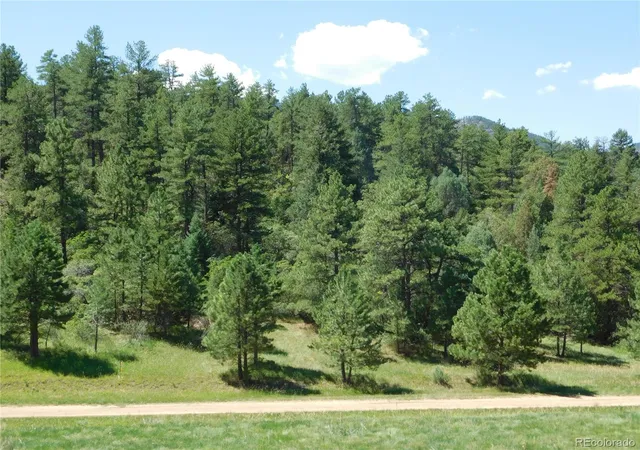 Homes for sale in Larkspur, CO | 4668 Comanche Dr, Larkspur, CO 80118 | MLS# 9131807