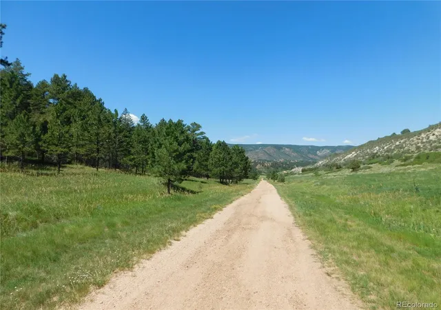 Homes for sale in Larkspur, CO | 4668 Comanche Dr, Larkspur, CO 80118 | MLS# 9131807