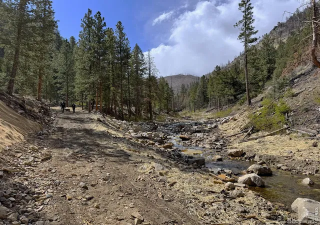 Homes for sale in Bellvue, CO | 122 Black Hollow Rd, Bellvue, CO 80512 | MLS# IR1058454