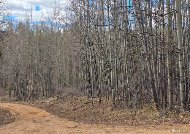 Homes for sale in Fort Garland, CO | Lot 5853 Slegers Rd, Fort Garland, CO 81133 | MLS# 9562376