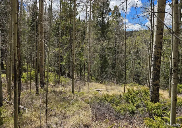 Homes for sale in Fort Garland, CO | Lot 5853 Slegers Rd, Fort Garland, CO 81133 | MLS# 9562376