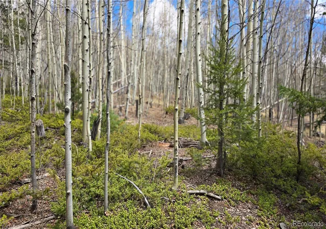 Homes for sale in Fort Garland, CO | Lot 5853 Slegers Rd, Fort Garland, CO 81133 | MLS# 9562376