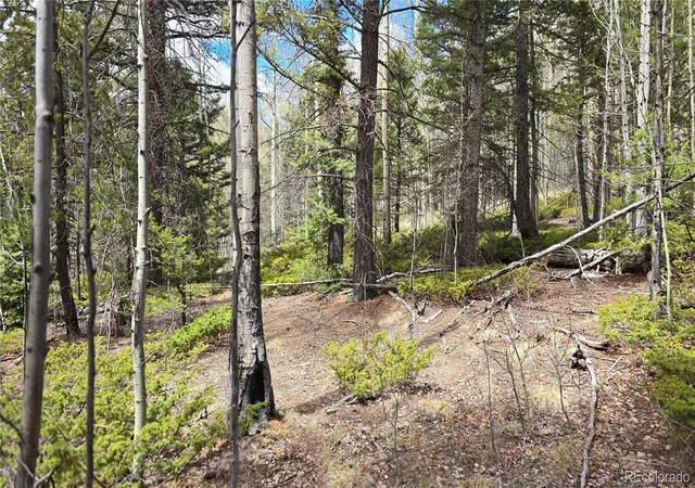 Homes for sale in Fort Garland, CO | Lot 5853 Slegers Rd, Fort Garland, CO 81133 | MLS# 9562376