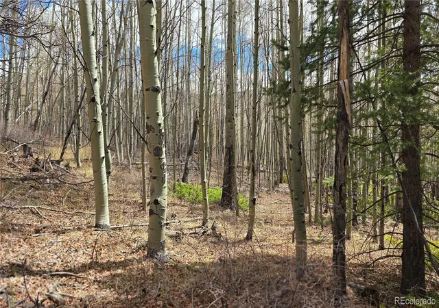 Homes for sale in Fort Garland, CO | Lot 5853 Slegers Rd, Fort Garland, CO 81133 | MLS# 9562376