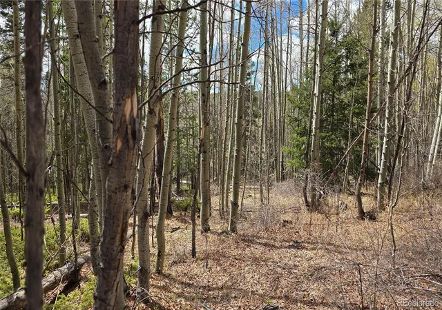 Homes for sale in Fort Garland, CO | Lot 5853 Slegers Rd, Fort Garland, CO 81133 | MLS# 9562376