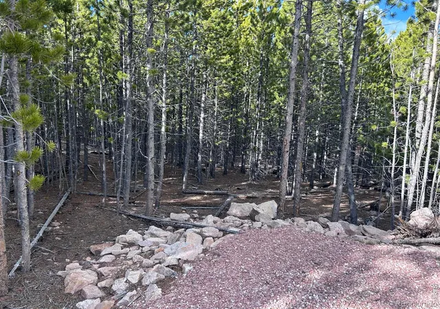 12th image of 2596 Ottawa Wy, Red Feather Lakes, CO 80545 | MLS# IR1058588
