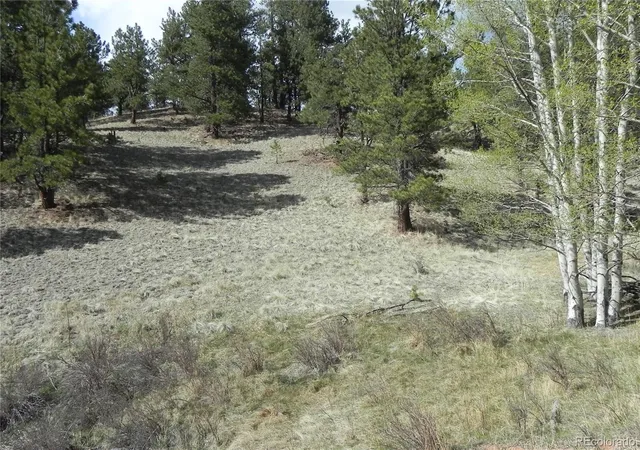 Homes for sale in Cripple Creek, CO | 1699 Monarch Dr, Cripple Creek, CO 80813 | MLS# 6548850