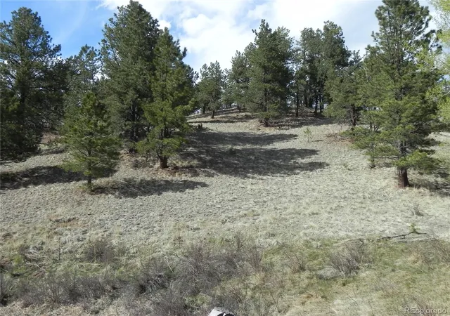 Homes for sale in Cripple Creek, CO | 1699 Monarch Dr, Cripple Creek, CO 80813 | MLS# 6548850