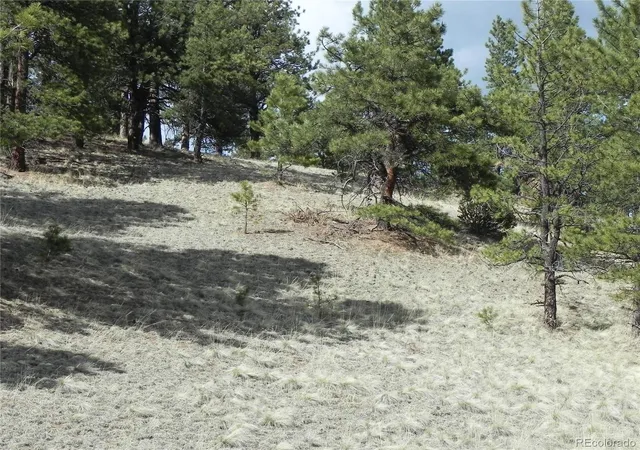 Homes for sale in Cripple Creek, CO | 1699 Monarch Dr, Cripple Creek, CO 80813 | MLS# 6548850