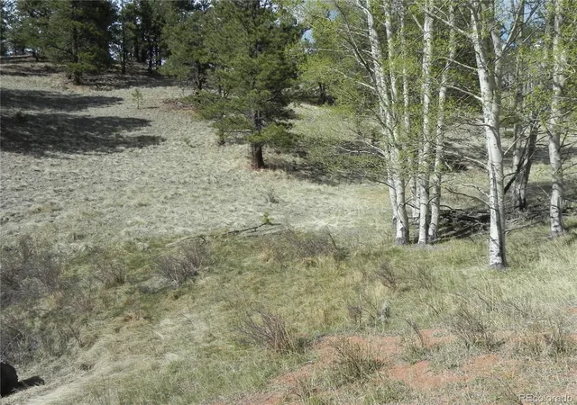 Homes for sale in Cripple Creek, CO | 1699 Monarch Dr, Cripple Creek, CO 80813 | MLS# 6548850