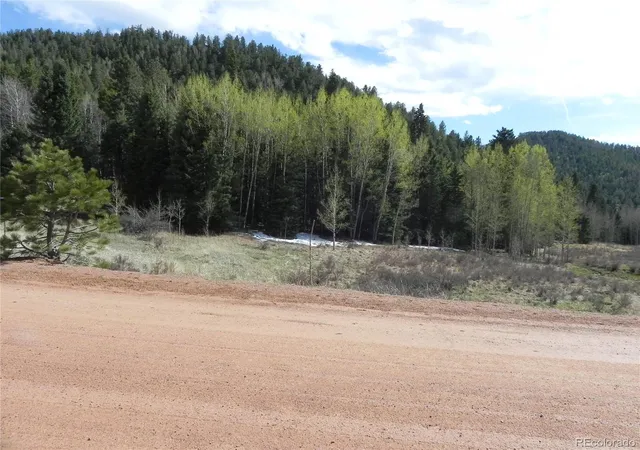 Homes for sale in Cripple Creek, CO | 1699 Monarch Dr, Cripple Creek, CO 80813 | MLS# 6548850