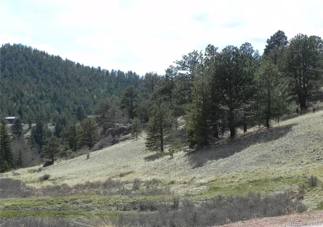Homes for sale in Cripple Creek, CO | 1699 Monarch Dr, Cripple Creek, CO 80813 | MLS# 6548850