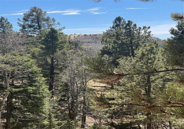 Homes for sale in Cripple Creek, CO | 288 Troy Dr, Cripple Creek, CO 80813 | MLS# 5528778