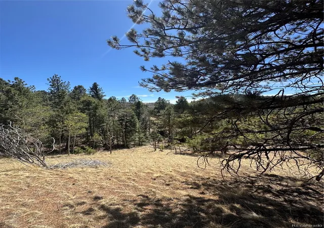 Homes for sale in Cripple Creek, CO | 288 Troy Dr, Cripple Creek, CO 80813 | MLS# 5528778