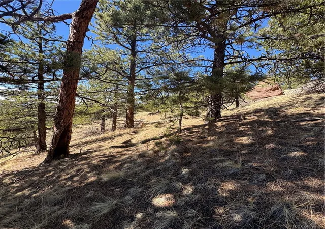 Homes for sale in Cripple Creek, CO | 288 Troy Dr, Cripple Creek, CO 80813 | MLS# 5528778