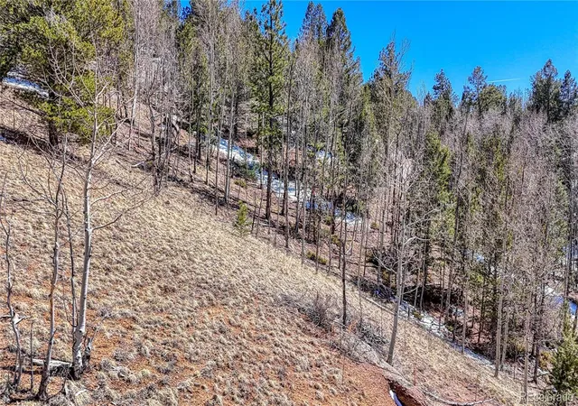 Homes for sale in Cripple Creek, CO | 513 Last Dollar Dr, Cripple Creek, CO 80813 | MLS# 5192246