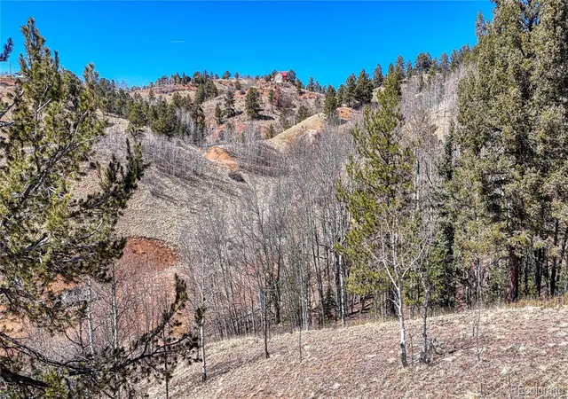 Homes for sale in Cripple Creek, CO | 513 Last Dollar Dr, Cripple Creek, CO 80813 | MLS# 5192246