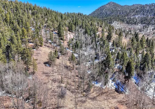 Homes for sale in Cripple Creek, CO | 513 Last Dollar Dr, Cripple Creek, CO 80813 | MLS# 5192246