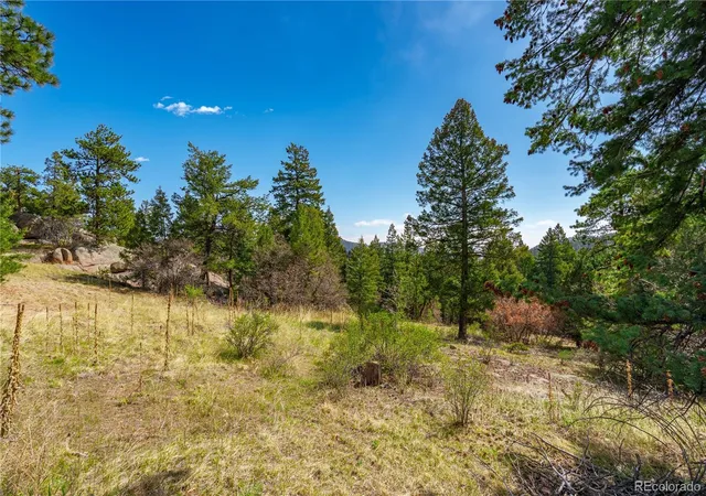 4th image of 22668 Shawnee Rd, Indian Hills, CO 80454 | MLS# 4561139