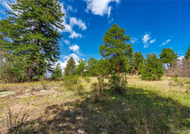5th image of 22668 Shawnee Rd, Indian Hills, CO 80454 | MLS# 4561139