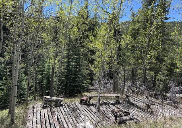 Homes for sale in Idaho Springs, CO | 190 Blue Bell Ln, Idaho Springs, CO 80452 | MLS# 7049358
