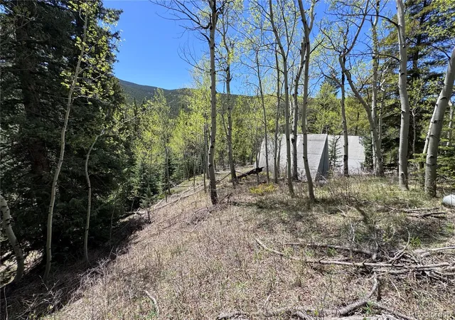 Homes for sale in Idaho Springs, CO | 190 Blue Bell Ln, Idaho Springs, CO 80452 | MLS# 7049358