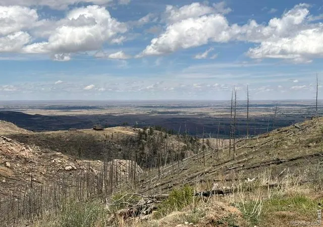 Homes for sale in Bellvue, CO | 711 Saddle Ridge Rd, Bellvue, CO 80512 | MLS# IR1058659
