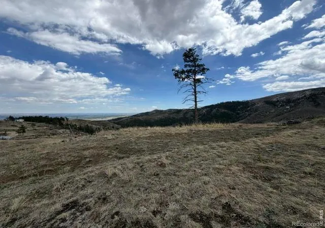 Homes for sale in Bellvue, CO | 711 Saddle Ridge Rd, Bellvue, CO 80512 | MLS# IR1058659