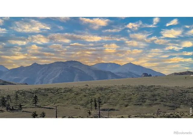 4th image of 2185 Eiger Rd, Livermore, CO 80536 | MLS# IR1058675