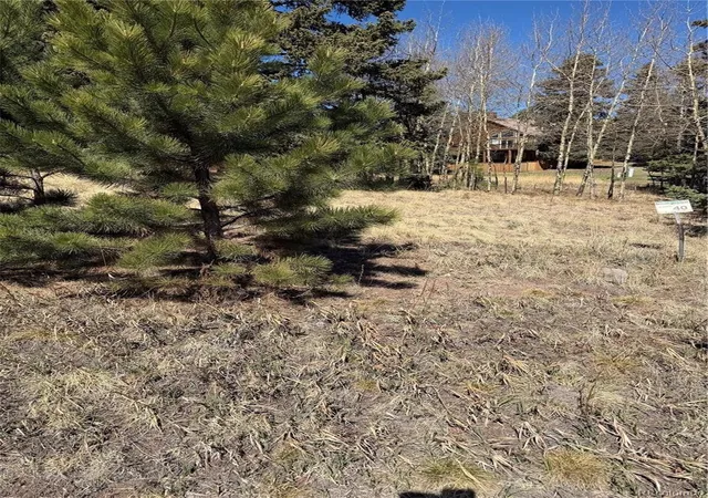 Homes for sale in Divide, CO | 405 Meadow Park Dr, Divide, CO 80814 | MLS# 5696693