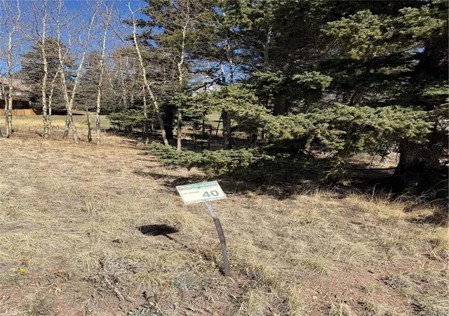 Homes for sale in Divide, CO | 405 Meadow Park Dr, Divide, CO 80814 | MLS# 5696693