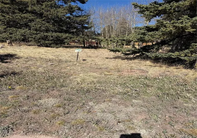 Homes for sale in Divide, CO | 405 Meadow Park Dr, Divide, CO 80814 | MLS# 5696693