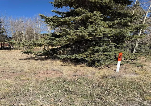 Homes for sale in Divide, CO | 405 Meadow Park Dr, Divide, CO 80814 | MLS# 5696693