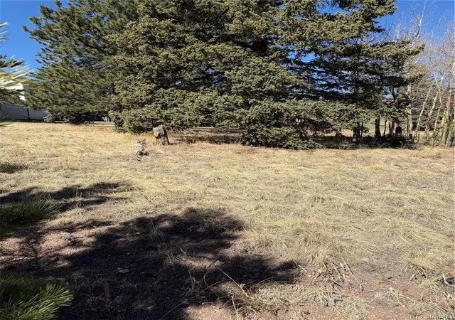 Homes for sale in Divide, CO | 405 Meadow Park Dr, Divide, CO 80814 | MLS# 5696693