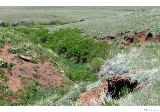 2nd image of --, Red Feather Lakes, CO 80545 | MLS# IR1058771