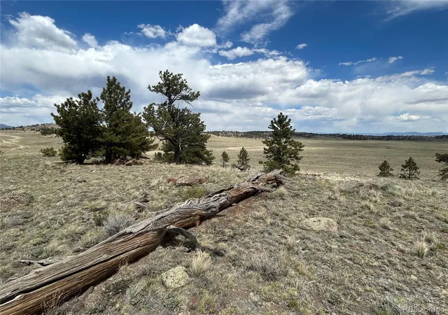 Homes for sale in Hartsel, CO | 591 Singletree Ct, Hartsel, CO 80449 | MLS# 8569623