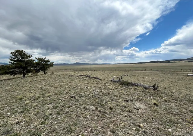 Homes for sale in Hartsel, CO | 591 Singletree Ct, Hartsel, CO 80449 | MLS# 8569623